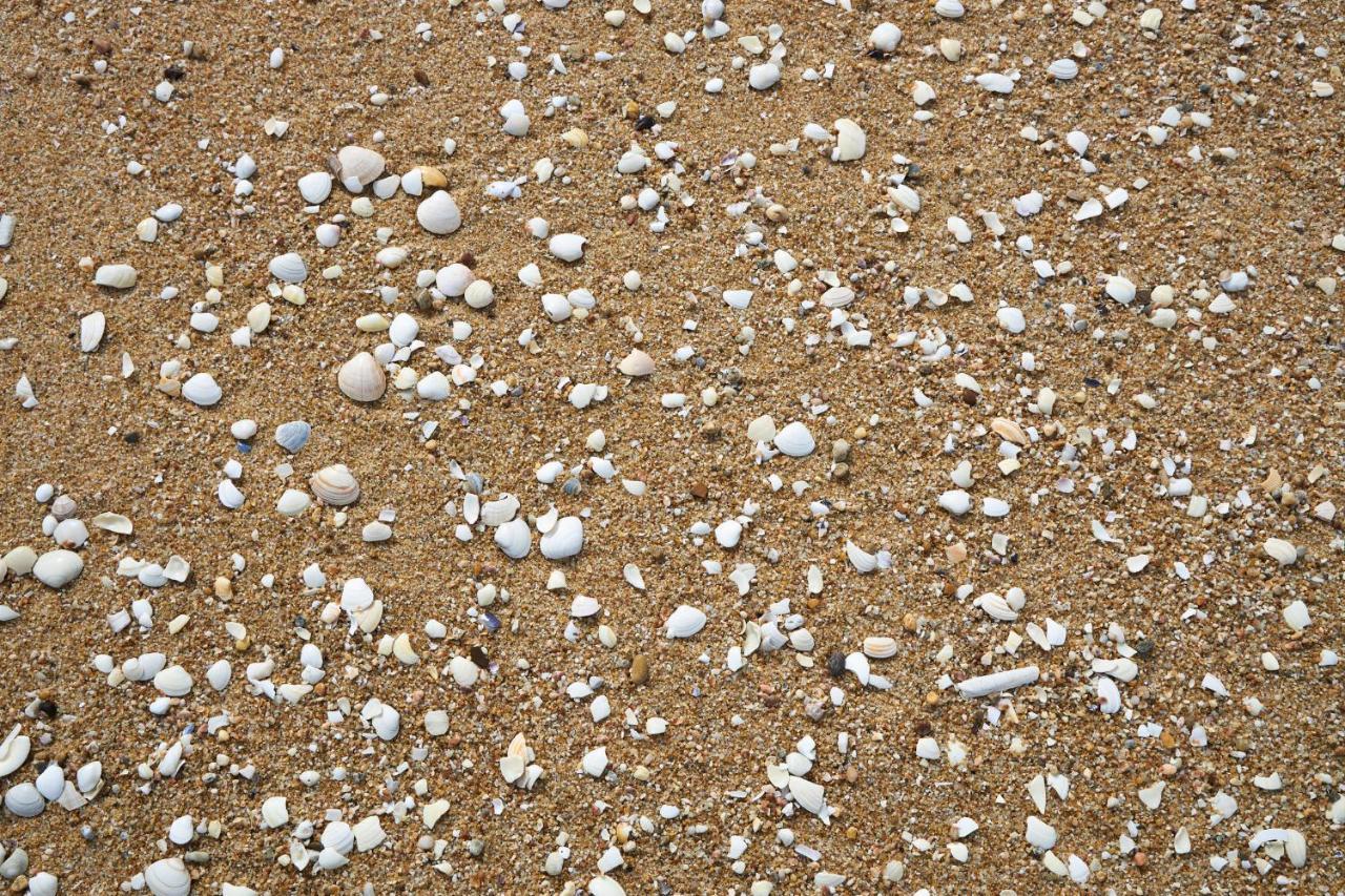 Apart@Costasantoandre Beach Santiago do Cacém Zewnętrze zdjęcie