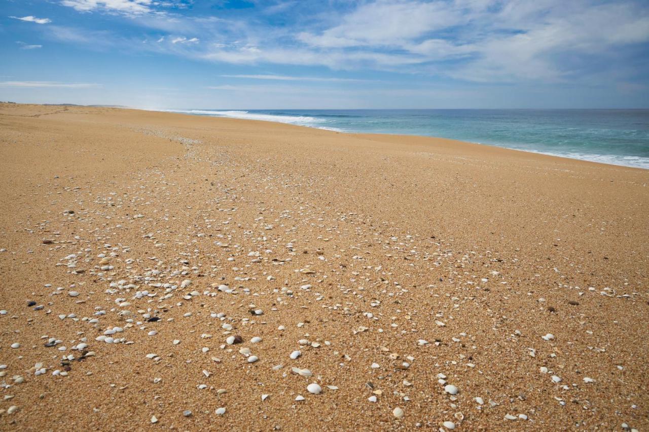 Apart@Costasantoandre Beach Santiago do Cacém Zewnętrze zdjęcie